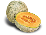 Melão Cantaloupe